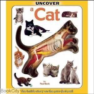 Uncover A Cat