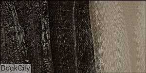 رنگ روغن MAIMERI Classico 60ml Burnt Umber 492