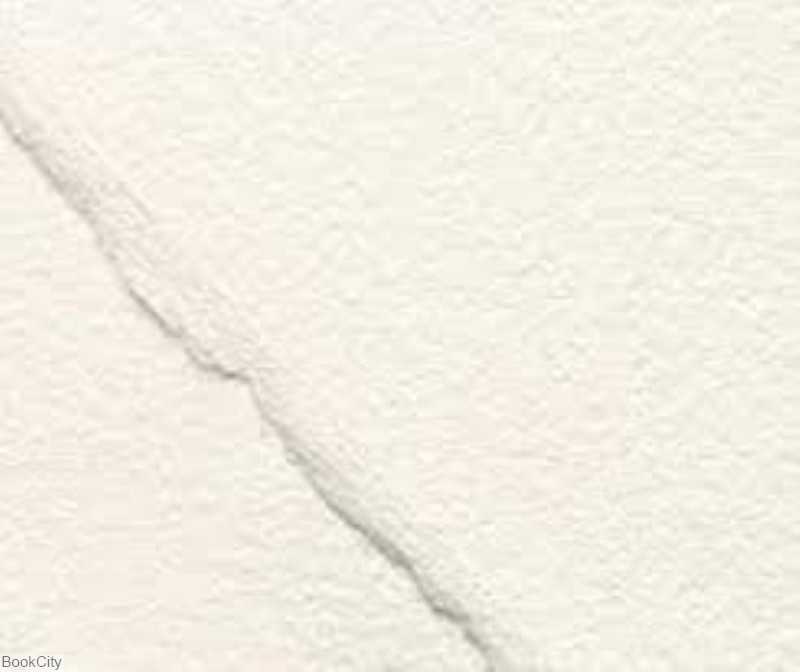 مقوا رنگ روغن CANSON 851103 50×65 Figueras 290gr
