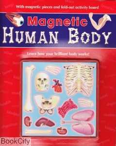 Magnetic Human Body