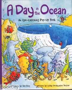 A Day in the Ocean