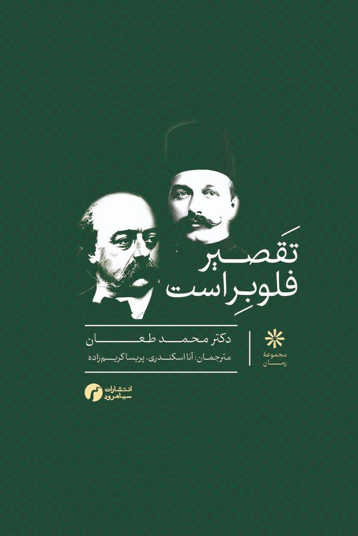 تقصیر فلوبر است