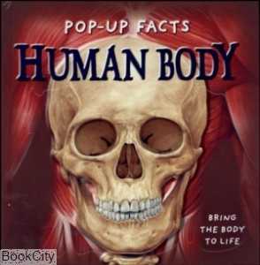 Human Body