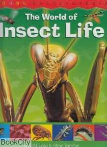 The World of Insect Life