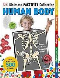 Human Body 1005
