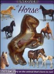 Uncover A Horse