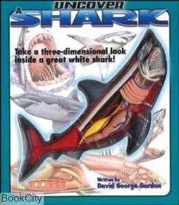 Uncover a Shark