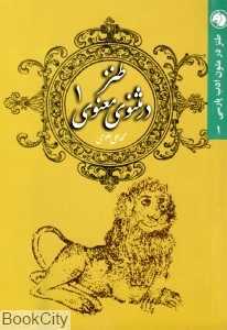 طنز در مثنوی معنوی 1