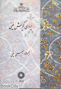 بررسی گویش فینی