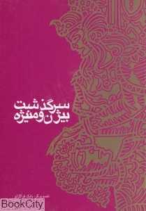 سرگذشت بیژن و منیژه