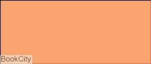 ماژیک طراحی TOUCH R140 Light Orange Brush