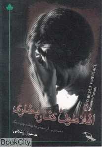 افلاطون کنار بخاری (دفتر دوم)