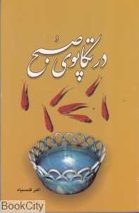 در تکاپوی صبح