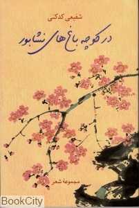 در کوچه باغ‌های نشابور (مجموعه شعر)