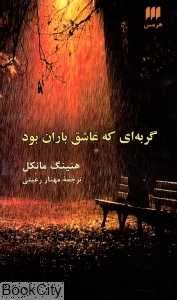 گربه‌ای که عاشق باران بود
