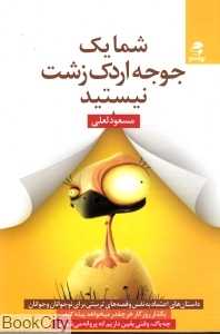 شما یک جوجه اردک زشت نیستید