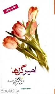 امیر گلها