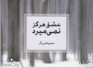 عشق هرگز نمی‌میرد (ذهن آویز)