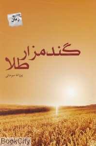 گندم‌زار طلا