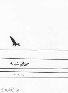 حیرانی شبانه