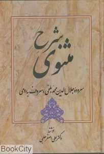 شرح مثنوی 2
