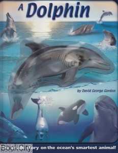 Uncover a Dolphin