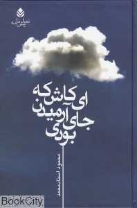 ای کاش که جای آرمیدن بودی