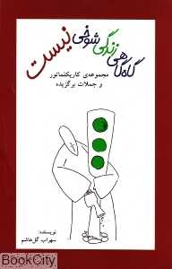 گاه‌گاهی زندگی شوخی نیست