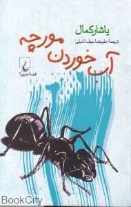 آب خوردن مورچه