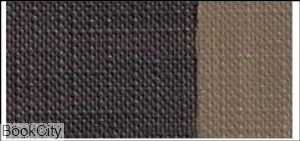 رنگ روغن MAIMERI Classico 60ml Raw Umber 493