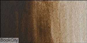 رنگ روغن MaIMeRI Classico 60ml Cassel Earth 490