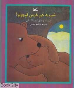 شب به خیر خرس کوچولو (تصویرگر فرانک اش)