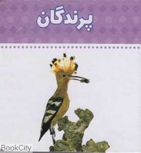 پرندگان (دنیای اطراف ما)