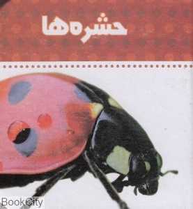 حشره‌ها (دنیای اطراف ما)