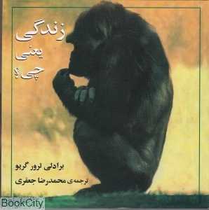 زندگی یعنی چی