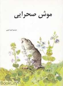 موش صحرایی