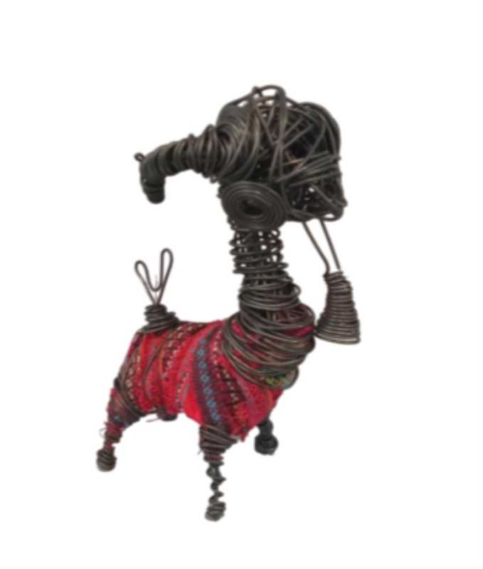 بز متوسط گلچین