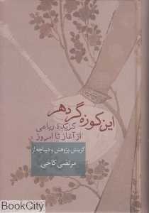 این کوزه‌گر دهر (گزیده رباعی از آغاز تا امروز)