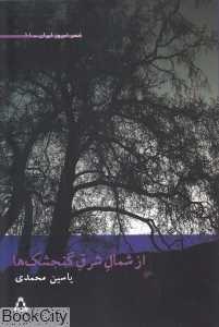 از شمال شرق گنجشک‌ها