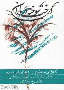 درخت سوخته در باران