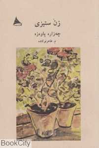 زن ستیزی
