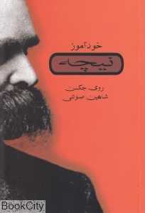 خودآموز نیچه