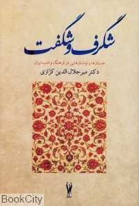شگرف و شگفت (جستارها و نوشتارهایی در فرهنگ و ادب ایران)