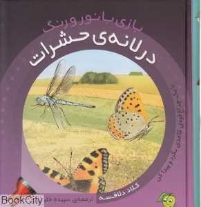 بازی با رنگ و نور (در لانه حشرات)