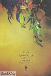 بوق زدن ممنوع