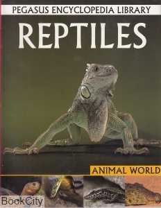 Reptiles Animal World