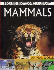 Mammals Animal World