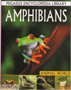 Amphibianss Animal World