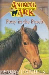 Pony in the Porch