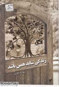 زندگی شاید همین باشد